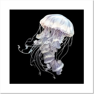 Jellyfish Posters and Art